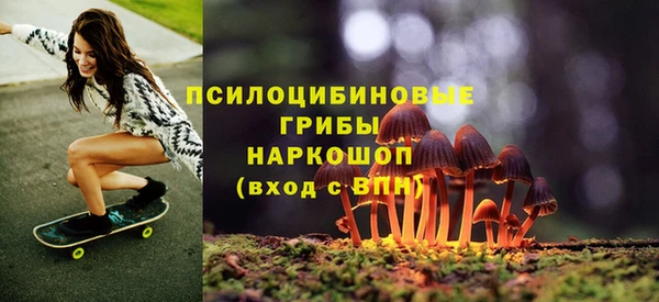 мет Алзамай